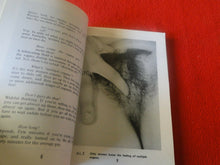 Load image into Gallery viewer, Vintage Sexy Erotic Adult Paperback Book/ Novel Love and Sex 16