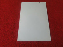 Load image into Gallery viewer, Vintage 18 Y.O. + Gay Interest Chippendale Fox Muscle Nude Hung Male Photo D13m