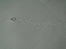 Load image into Gallery viewer, Vintage Nude Erotic Sexy Adult Pinup Contact Print Sheet Professonal Photo AF