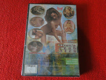 Load image into Gallery viewer, Vintage 18 Y.O. + Adult Erotic Porn XXX DVD Falcon's Fresh Faces SEALED PP