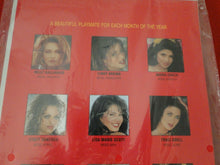 Load image into Gallery viewer, Vintage Semi-Nude Pinup Wall Calendar 1996 Playboy Playmate 11 x 8 Inches     G2