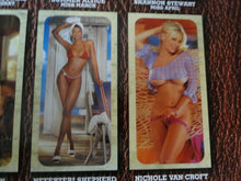 Load image into Gallery viewer, Vintage Large Semi-Nude Pinup Wall Calendar Playboy Lingerie 17 x 12 Inches 2002