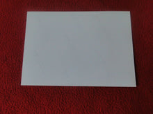 Load image into Gallery viewer, Vintage 18 Year Old+ Gay Interest Colt/Fox/Chippendale Nude Male Photo D237