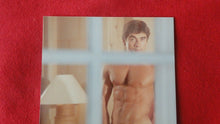 Load image into Gallery viewer, Vintage 18 Y.O + Gay Interest Colt/Fox/Chippendale Nude Hot Male Photo D*f