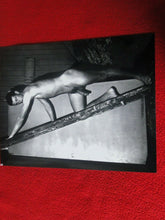 Load image into Gallery viewer, Vintage 18 Y.O. + Gay Interest Nude Hot Hung Muscular Male Photo 8 x 10 D21l