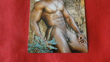 Load image into Gallery viewer, Vintage 18 Y.O + Gay Interest Colt/Fox/Chippendale Nude Hot Male Photo D*t