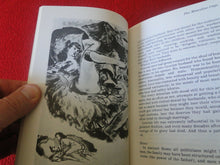 Load image into Gallery viewer, Vintage Sexy Erotic Adult Paperback Book/ Novel Aggressive/Passive Sex Roles 9