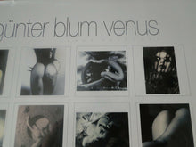 Load image into Gallery viewer, Vintage Large Semi-Nude Pinup Wall Calendar SEALED 12 x 12 2000 The Ink Group B