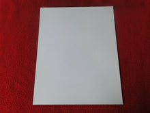 Load image into Gallery viewer, Vintage 18 Y.O. + Gay Interest Nude Hot Hung Muscular Male Photo 8 x 10 D21b