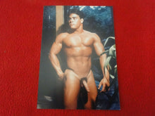 Load image into Gallery viewer, Vintage 18 Y.O. + Gay Interest Colt/Fox/Chippendale Nude Hot Male Photo D255
