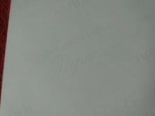 Load image into Gallery viewer, Vintage 18 Y.O. + Gay Interest Colt/Fox/Chippendale Nude Hot Male Photo D8$