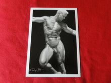 Load image into Gallery viewer, Vintage 18 Year Old + Gay Interest Colt/Fox/Chippendale Nude Hot Male Photo D41f