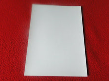 Load image into Gallery viewer, Vintage 18 Year Old + Gay Interest Fox/Colt/Chippendale Semi Nude Male Photo D+