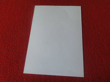 Load image into Gallery viewer, Vintage 18 Y.O. + Gay Interest Chippendale Fox Muscle Nude Hung Male Photo D13f