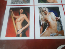 Load image into Gallery viewer, Vintage Semi-Nude Pinup Wall Calendar Girls Exclusive 2015 18 x 13 SEALED NOS P