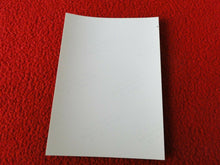 Load image into Gallery viewer, Vintage 18 Year Old + Gay Interest Nude Hot Hung Muscular Male Photo B3