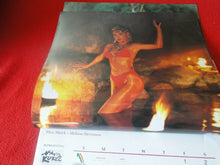 Load image into Gallery viewer, Vintage Semi-Nude Pinup Wall Calendar 12 x 12 1996 Australian Swimsuit         G