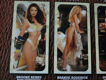 Load image into Gallery viewer, Vintage Large Semi-Nude Pinup Wall Calendar Playboy Lingerie 17 x 12 Inches 2002