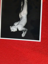 Load image into Gallery viewer, Vintage 18 Y.O. + Gay Interest Nude Hot Hung Muscular Male Photo 8 x 10 H25S
