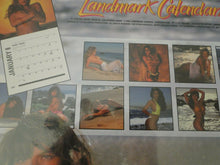 Load image into Gallery viewer, Vintage Semi-Nude Pinup Wall Calendar 1993 Skin Deep SEALED 12 x 12           G4