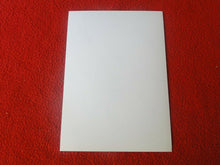 Load image into Gallery viewer, Vintage 18 Y.O. + Gay Interest Colt/Fox/Chippendale Nude Hot Male Photo D23g