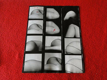 Load image into Gallery viewer, Vintage Nude Erotic Sexy Adult Pinup Contact Print Sheet Professonal Photo AF
