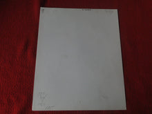 Load image into Gallery viewer, Vintage Nude Woman Spread Hairy Pussy Photo Silver Gelatin 8 x 10 P80