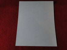 Load image into Gallery viewer, Vintage 18 Y.O. + Gay Interest Nude Hot Hung Muscular Male Photo 8 x 10 D(18