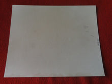 Load image into Gallery viewer, Vintage Nude Woman Big Tits Hairy Pussy Silver Gelatin Photo 8 x 10 P81k