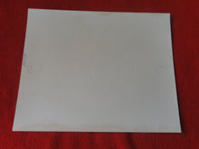 Load image into Gallery viewer, Vintage Nude Woman Big Tits Hairy Pussy Silver Gelatin Photo 8 x 10 P81m