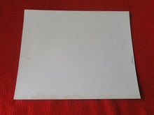 Load image into Gallery viewer, Vintage Nude Woman Hairy Pussy Silver Gelatin Photo 8 x 10 P81n