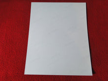 Load image into Gallery viewer, Vintage 18 Y.O. + Gay Interest Nude Hot Hung Muscular Male Photo 8 x 10 D(50