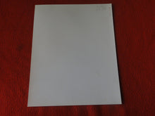 Load image into Gallery viewer, Vintage Nude Woman BDSM Bondage Silver Gelatin Photo 8 x 10 P81b