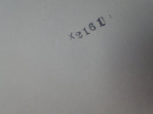 Load image into Gallery viewer, Vintage Nude Woman Big Tits Hairy Pussy Silver Gelatin Photo 8 x 10 P81g