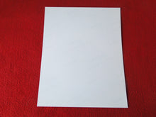 Load image into Gallery viewer, Vintage 18 Y.O. + Gay Interest Nude Hot Hung Muscular Male Photo 8 x 10 D(67