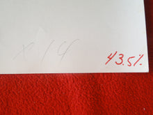 Load image into Gallery viewer, Vintage Nude Woman Hairy Pussy Silver Gelatin Photo AZn