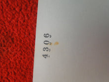 Load image into Gallery viewer, Vintage Nude Woman Hairy Pussy Silver Gelatin Photo AZq