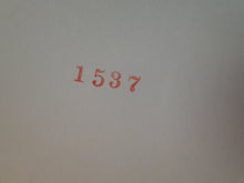 Load image into Gallery viewer, Vintage Nude Woman Big Tits Hairy Pussy Silver Gelatin 8 x 10 Photo AYc