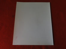 Load image into Gallery viewer, Vintage Nude Woman Big Tits Hairy Pussy Silver Gelatin 8 x 10 Photo AYb