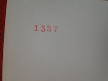 Load image into Gallery viewer, Vintage Nude Woman Big Tits Hairy Pussy Silver Gelatin 8 x 10 Photo AYc