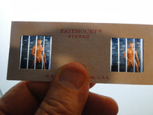 Load image into Gallery viewer, Vintage Adult Erotic 3D Stereoview Nude Hot Hung Gay Man Slide CR4