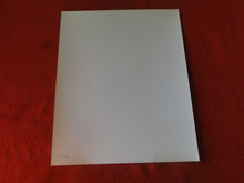 Load image into Gallery viewer, Vintage Nude Woman Big Tits Hairy Pussy Silver Gelatin 8 x 10 Photo AYd