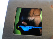 Load image into Gallery viewer, Vintage Adult Erotic 3D Stereoview Nude Hot Hung Gay Man Slide CS33