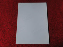 Load image into Gallery viewer, Vintage 18 Y.O + Gay Interest Colt Studios Nude Hot Male Photo D*11