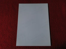 Load image into Gallery viewer, Vintage 18 Y.O + Gay Interest Colt Studios Nude Hot Male Photo D*12