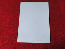 Load image into Gallery viewer, Vintage 18 Y.O + Gay Interest Colt Studios Nude Hot Male Photo D*14