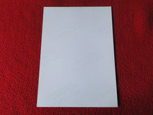 Load image into Gallery viewer, Vintage 18 Y.O + Gay Interest Colt Studios Nude Hot Male Photo D*15