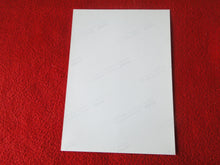 Load image into Gallery viewer, Vintage 18 Y.O + Gay Interest Colt Studios Nude Hot Male Photo D*24