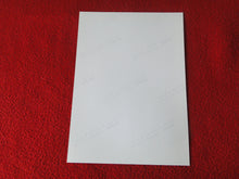 Load image into Gallery viewer, Vintage 18 Y.O + Gay Interest Colt Studios Nude Hot Male Photo D%1