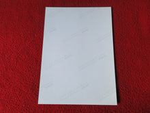 Load image into Gallery viewer, Vintage 18 Y.O + Gay Interest Colt Studios Nude Hot Male Photo D%8